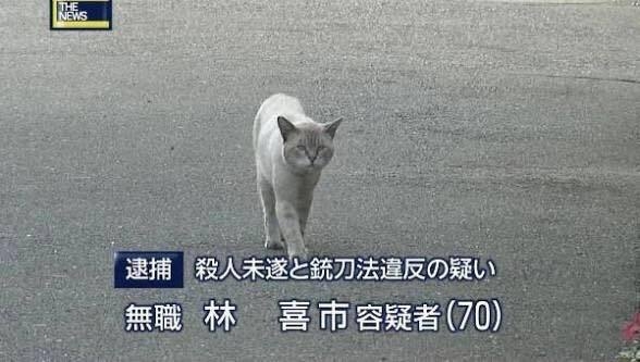 欲しい物を書くと否定的な意見を言われ購買意欲を消されるトピ Part9
