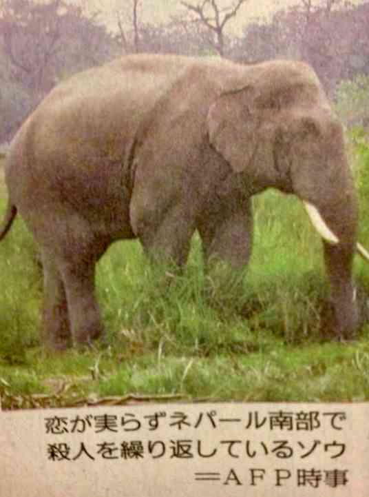 相模原市の河川敷で女子生徒の遺体 逮捕の男(19)「復縁を断られ犯行に至った」