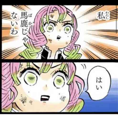 鬼滅の刃　甘露寺蜜璃が好きな人【アンチ厳禁】