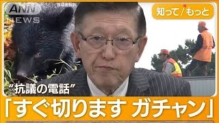 《クマ捕獲でまた…》「殺さないでくれ」「山に逃がせ」役所に電話殺到で担当者は疲弊、“処分して”の声も…いっぽう目撃情報は「昼の時間帯にピタッと止まる状態でした」