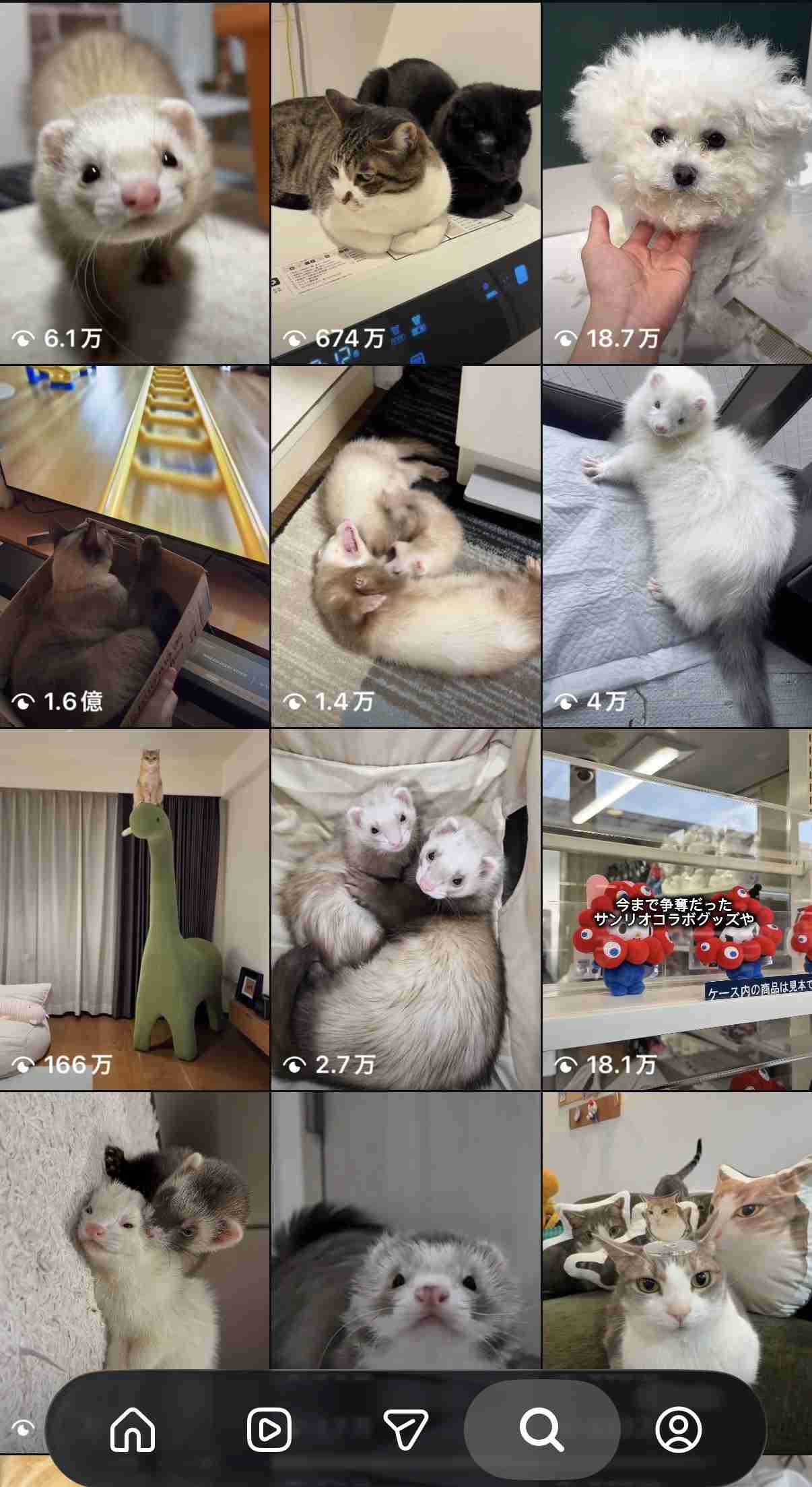 インスタで何を見ていますか?