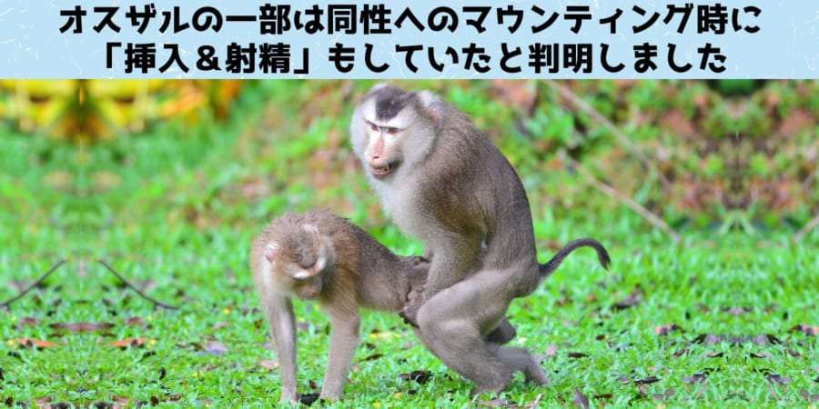 下半身を殴られ、クレーンで吊るされ…陸上自衛隊の30代男性が公務災害に認定 宮城