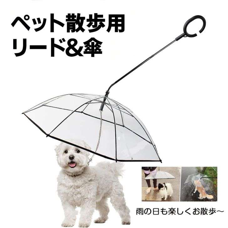 こんな商品あるんだ～と一番思わせた人が優勝