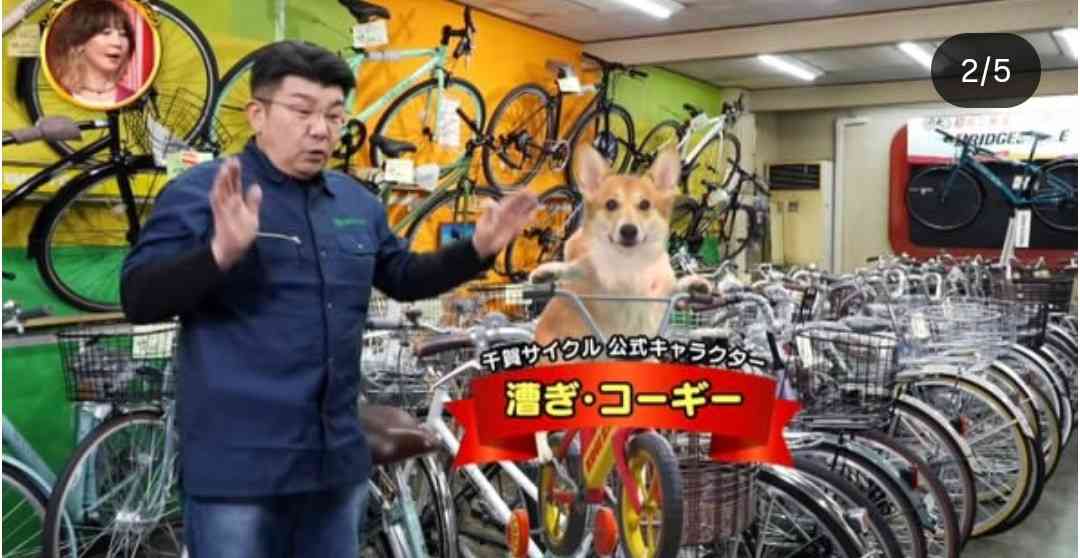 コーギー可愛すぎません?🐶