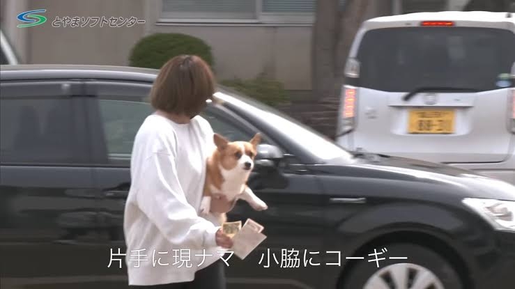 コーギー可愛すぎません?🐶