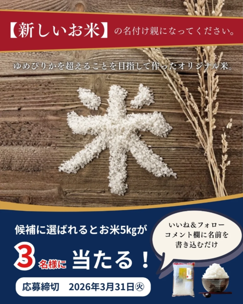 【青天の霹靂】米の銘柄名を考えてみないか？〜ネタトピ〜【新之助】