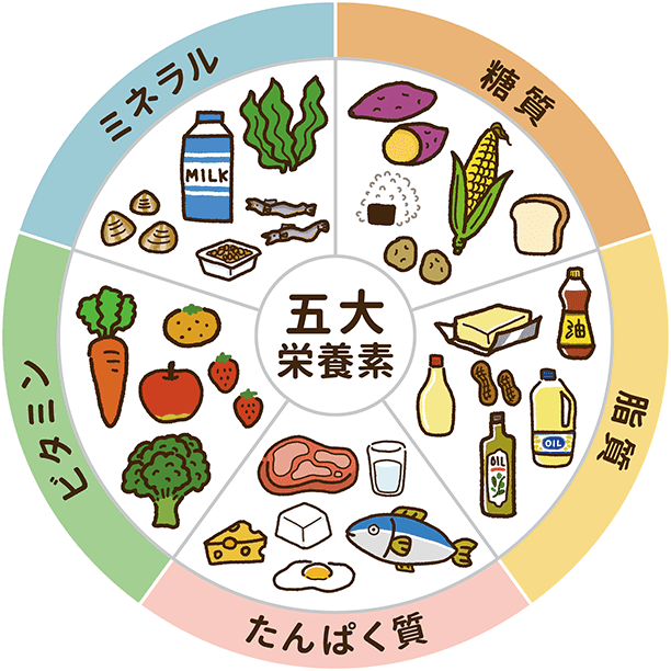 脂質制限と糖質制限