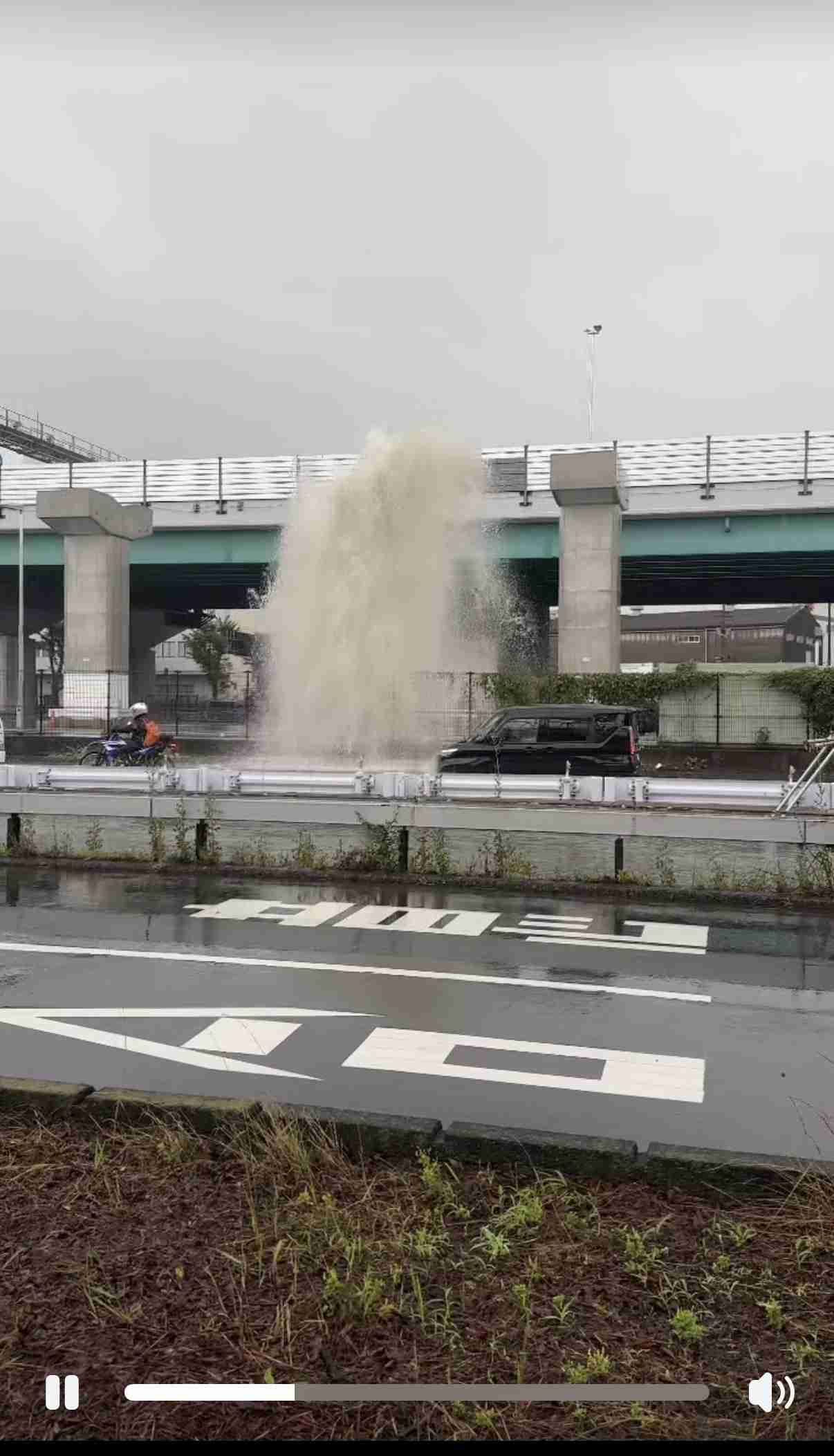 民家の庭の土の中から男性2人の遺体発見…49歳の男が父親と兄を埋めたか　死体遺棄容疑で逮捕　遺体の頭部と腹部に出血伴う外傷　殺人容疑も視野に捜査　島根・出雲市