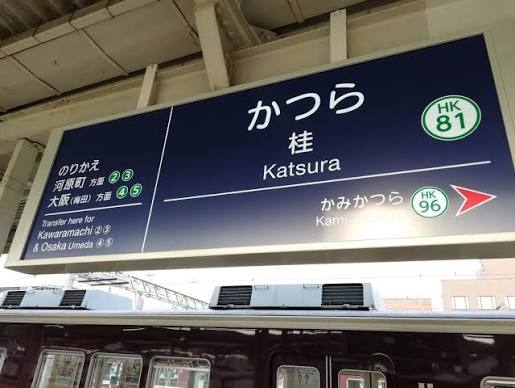 義父がバレバレのカツラを被り始めた