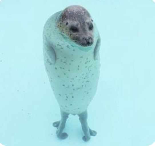 ふとした瞬間にぼっちを自覚