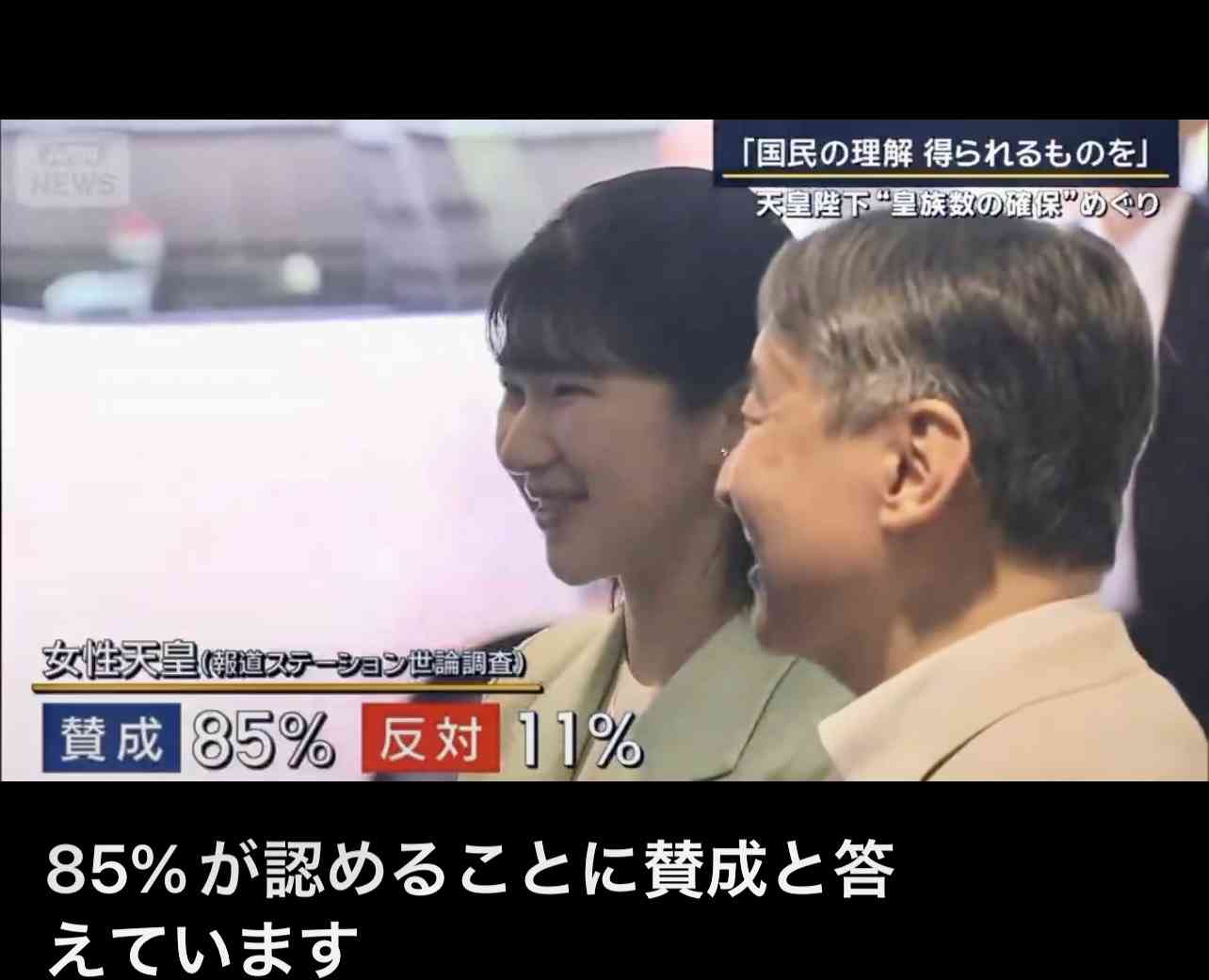 共産・田村氏、改正皇室典範に「白紙撤回求める」 男系男子に「2600年?神話でしょ」