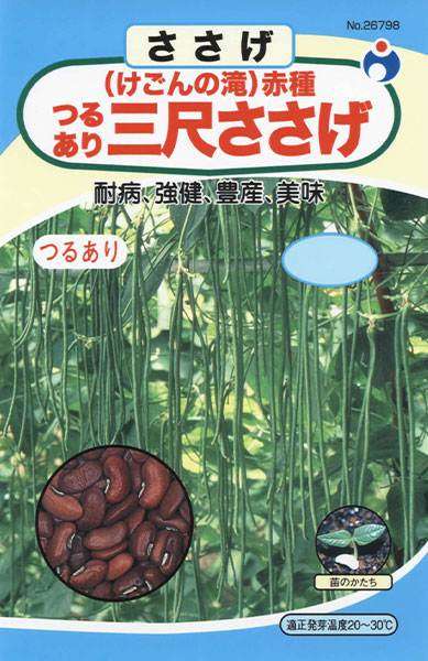 【夏】グリーンカーテン育てている方！🌿