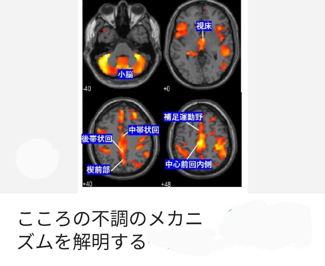 「一緒にホテル入ったらOKなのか？」性的同意への理解、3人に1人が不十分…NGO調査でギャップ浮き彫り