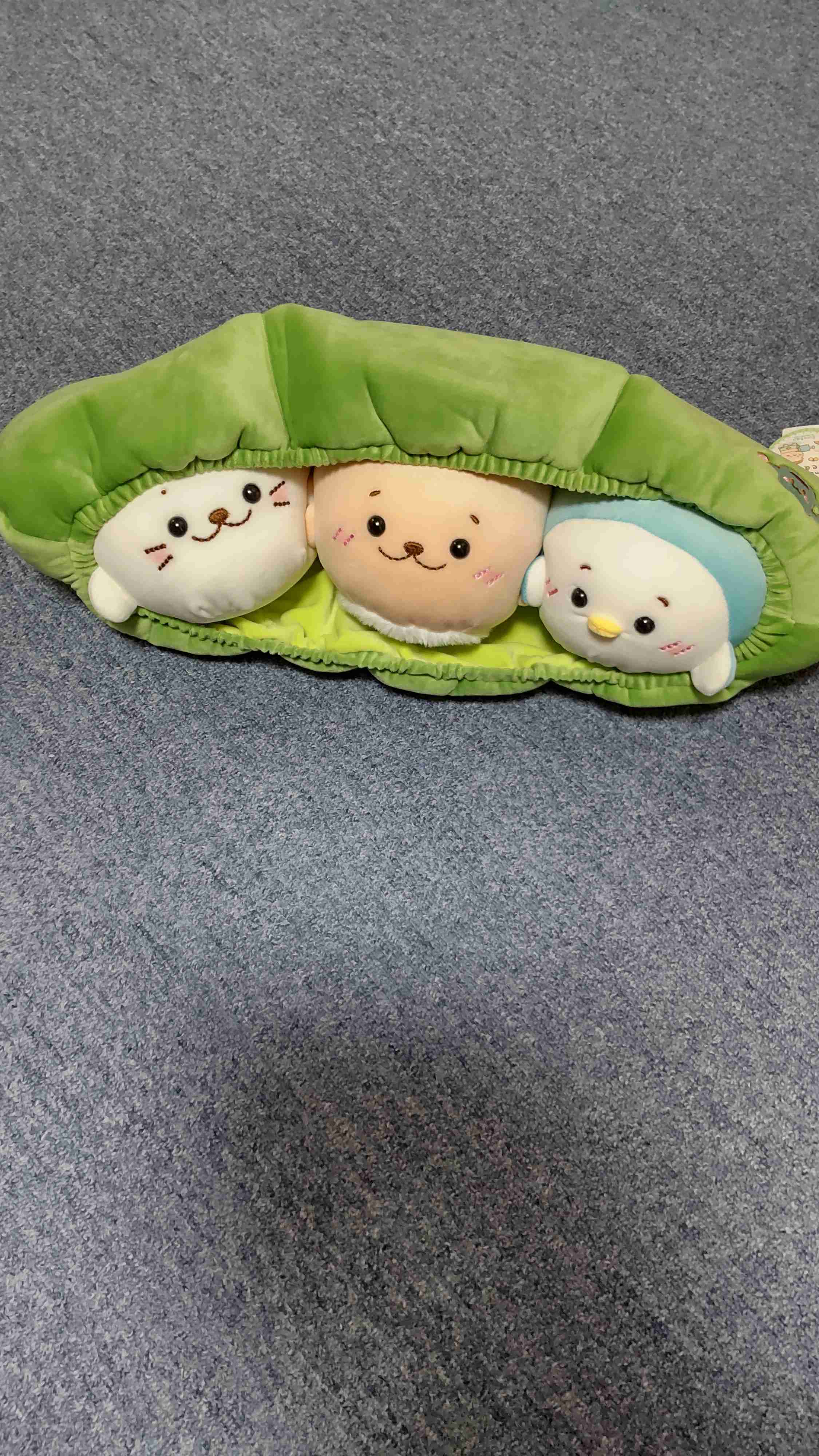 しろたん好きな人