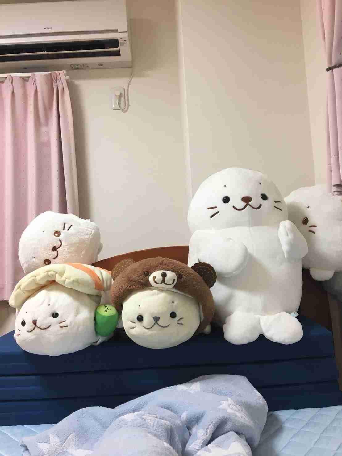 しろたん好きな人