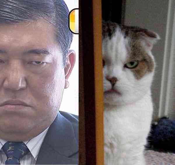なんか一致してると思った画像を貼るトピ