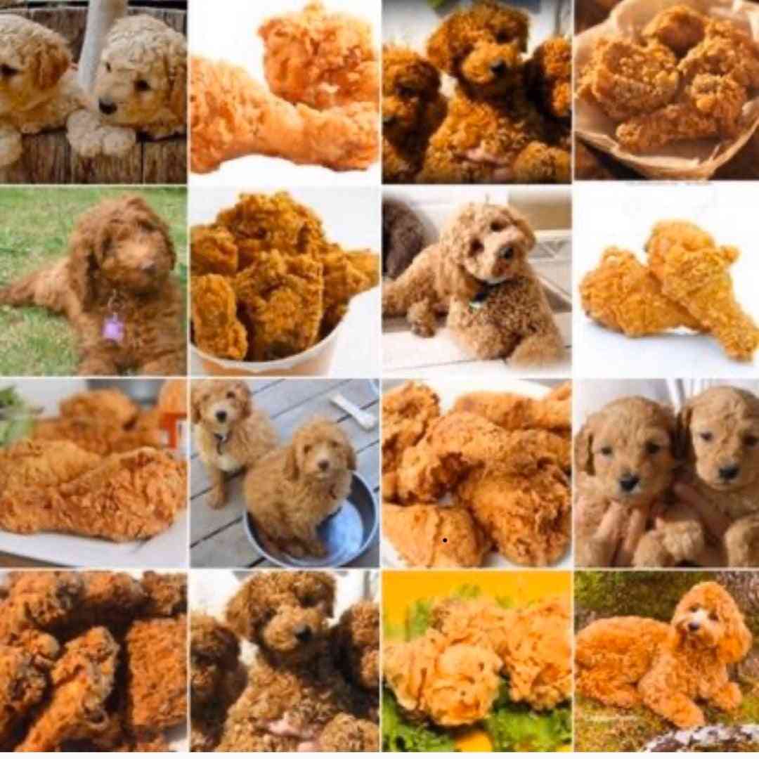 なんか一致してると思った画像を貼るトピ