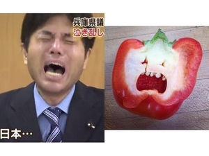 なんか一致してると思った画像を貼るトピ