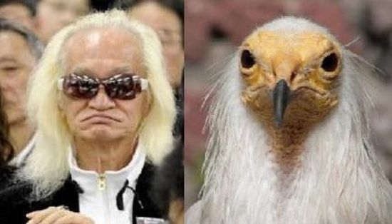 なんか一致してると思った画像を貼るトピ
