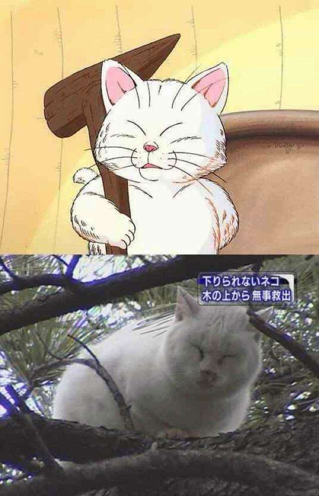 なんか一致してると思った画像を貼るトピ