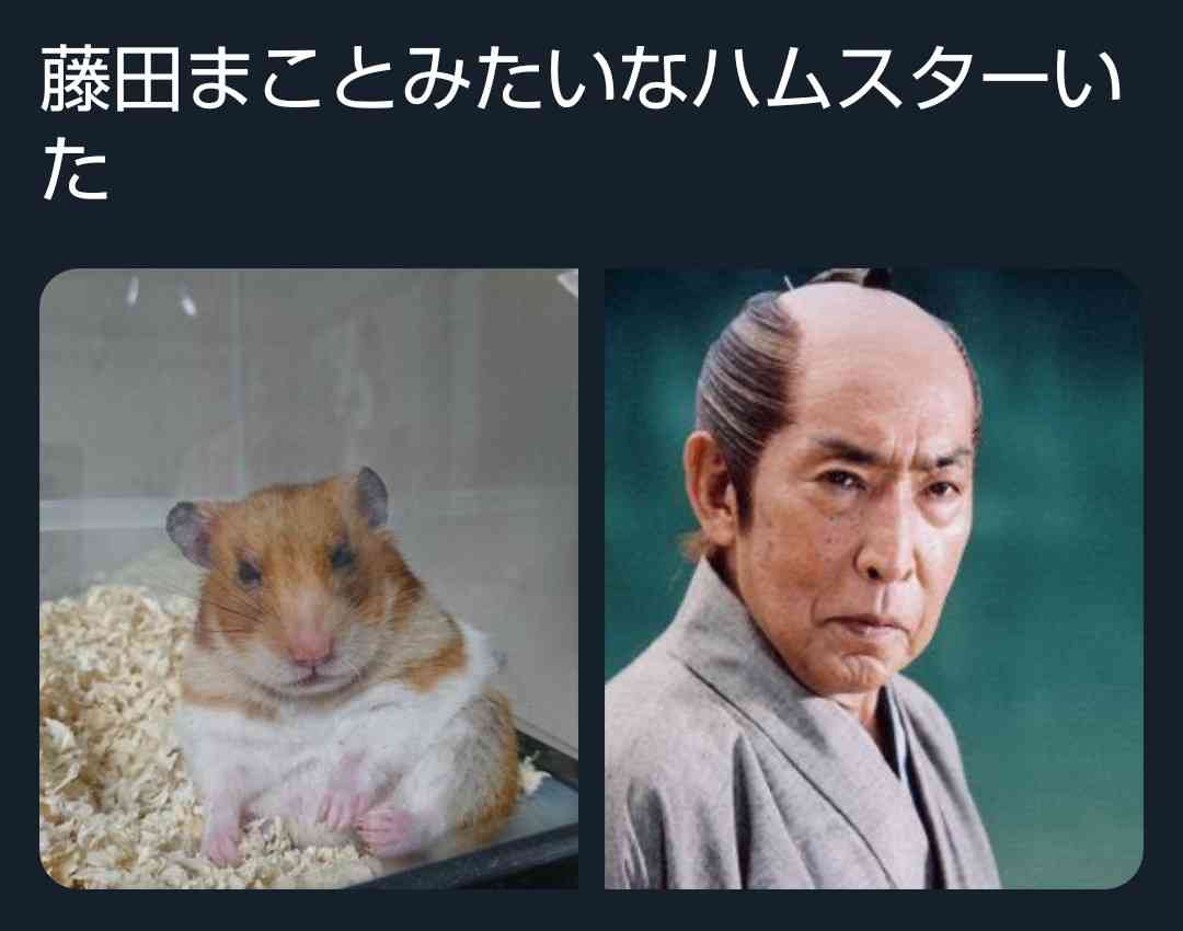 なんか一致してると思った画像を貼るトピ