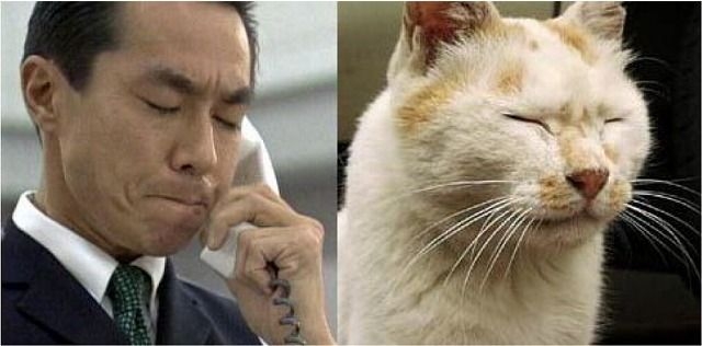 なんか一致してると思った画像を貼るトピ