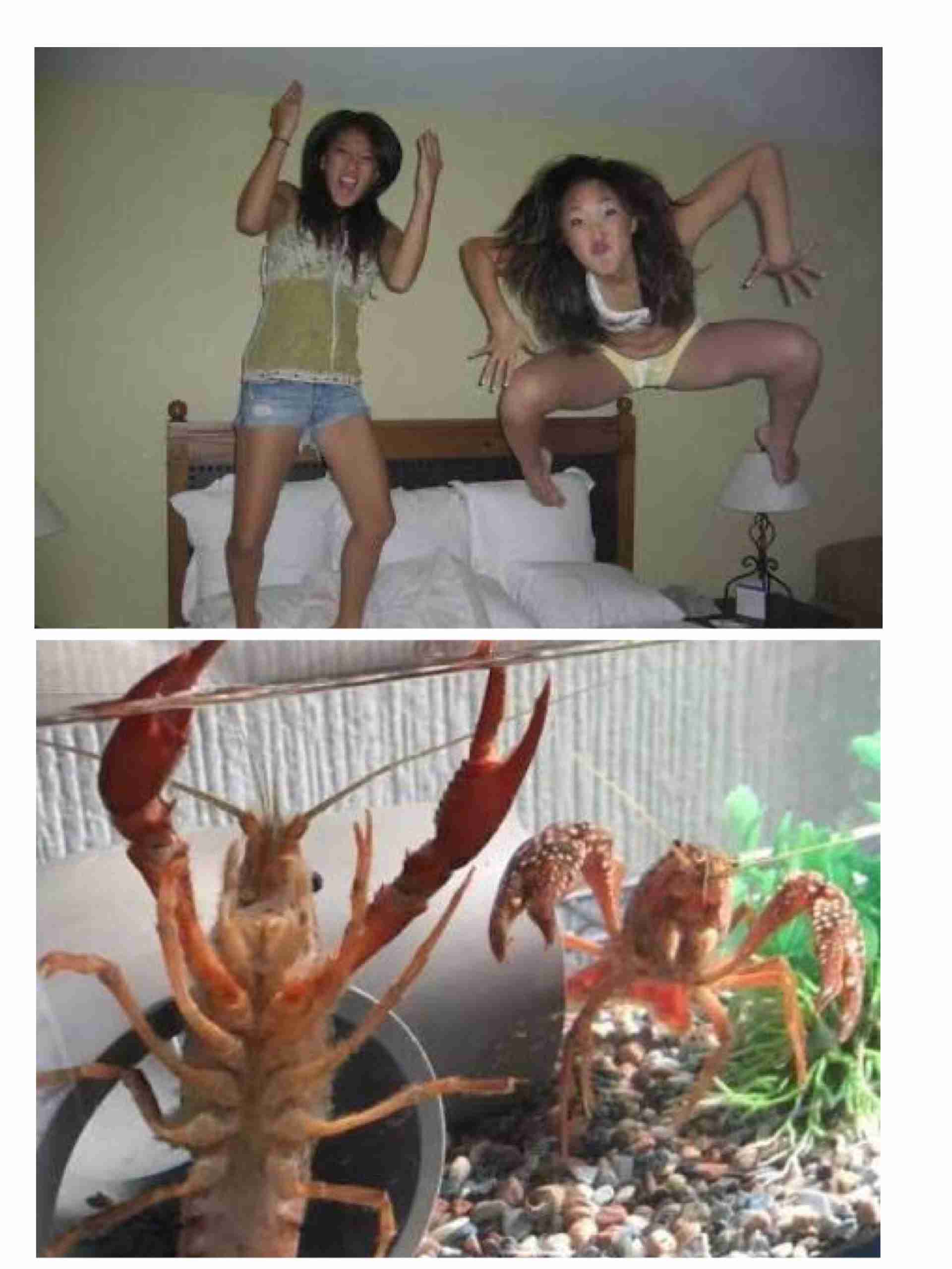 なんか一致してると思った画像を貼るトピ
