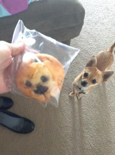 なんか一致してると思った画像を貼るトピ