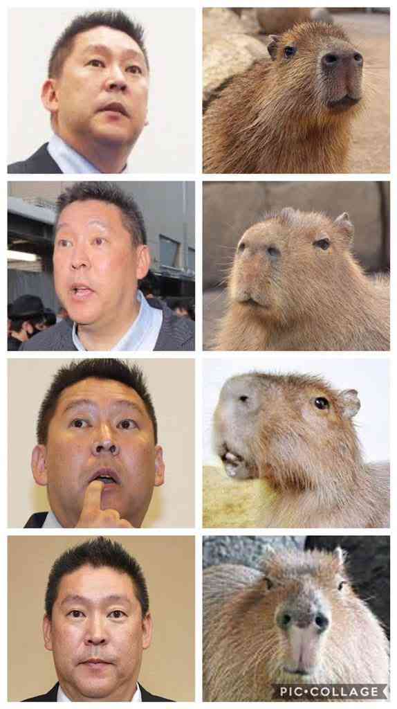 なんか一致してると思った画像を貼るトピ