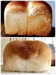 なんか一致してると思った画像を貼るトピ