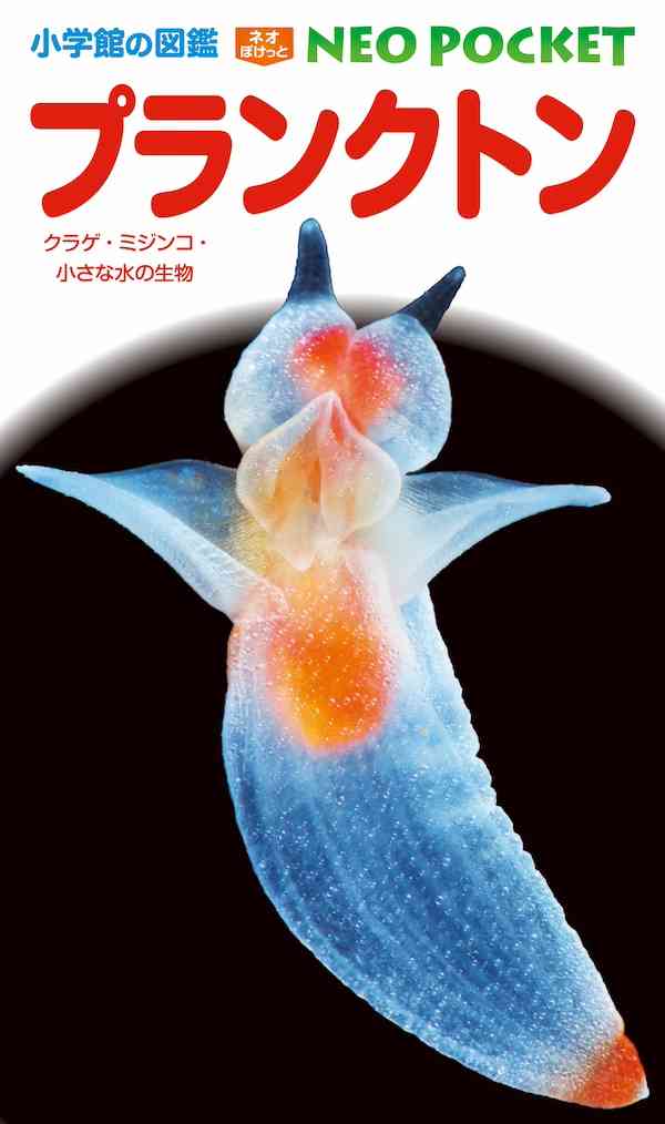 プランクの効果について