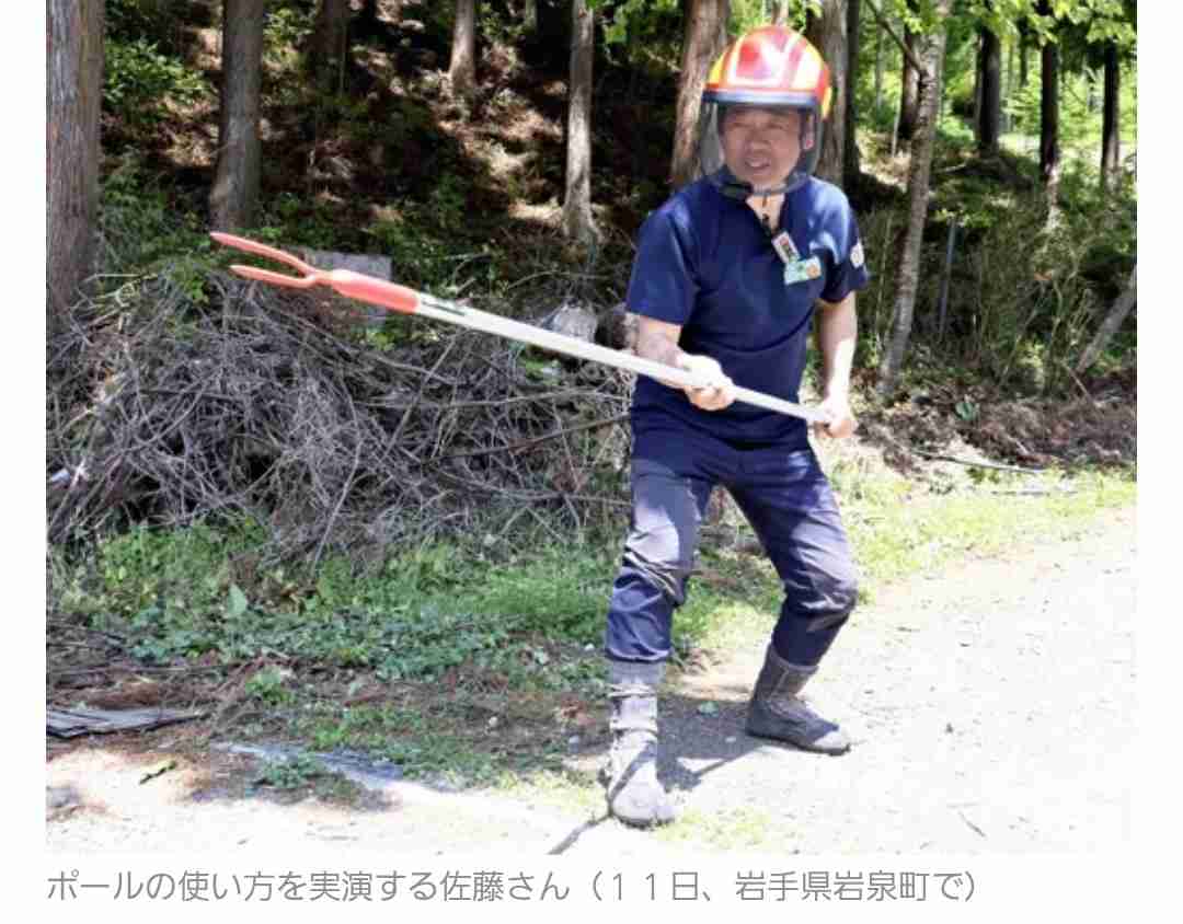 夏の旅行のクマ対策について