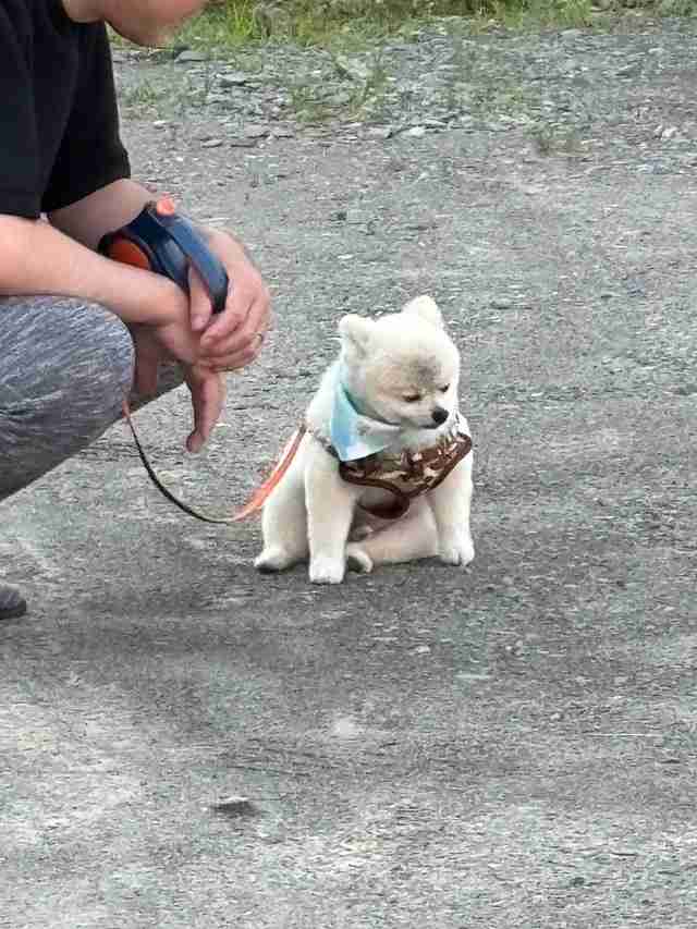 親への葛藤