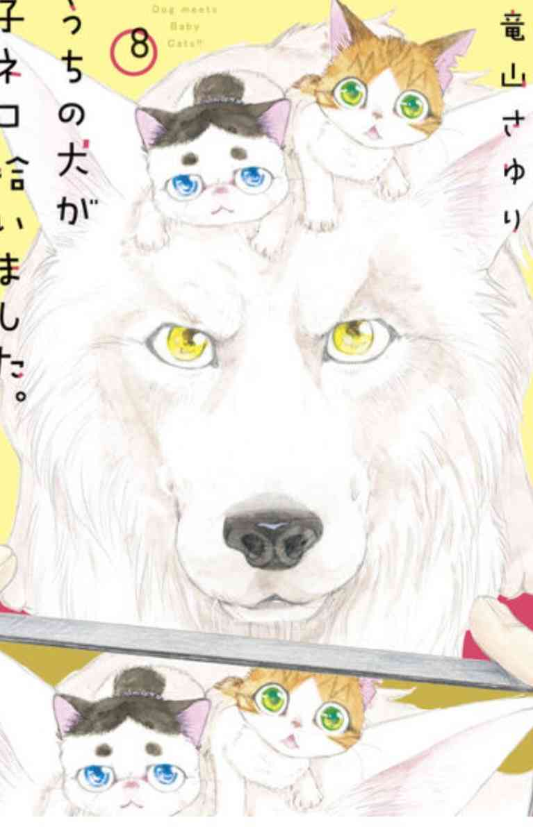 絵が変わって衝撃的だった漫画
