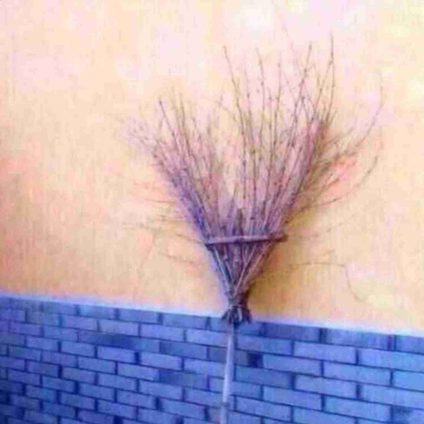 アンダーヘアに白髪