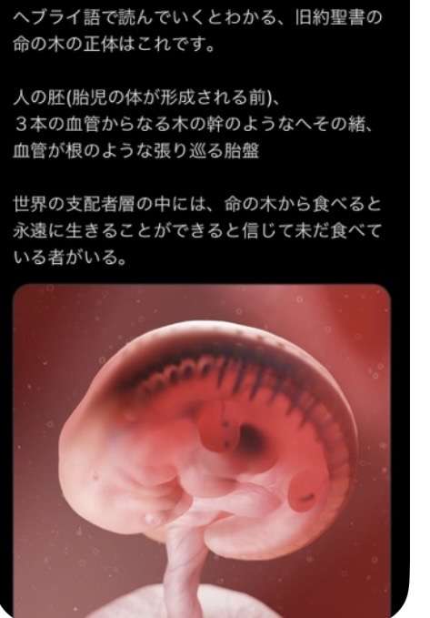 【実況・感想】劇場版アニメ「AKIRA」【アンチ・誹謗中傷禁止】