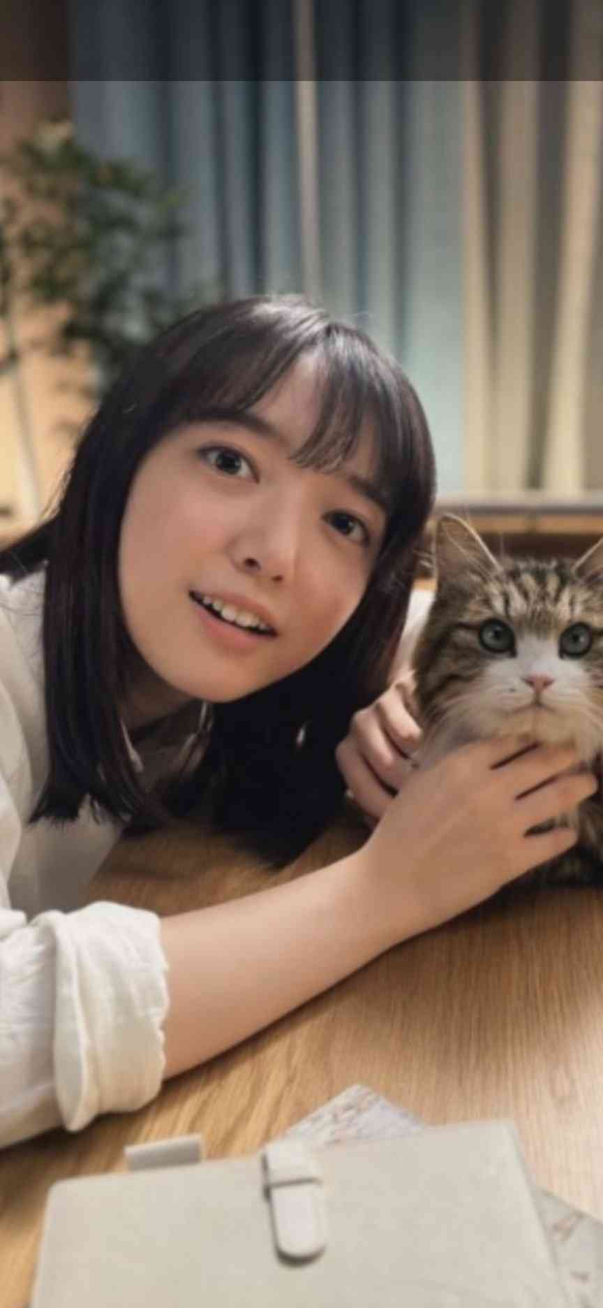 顔が覚え易い有名人