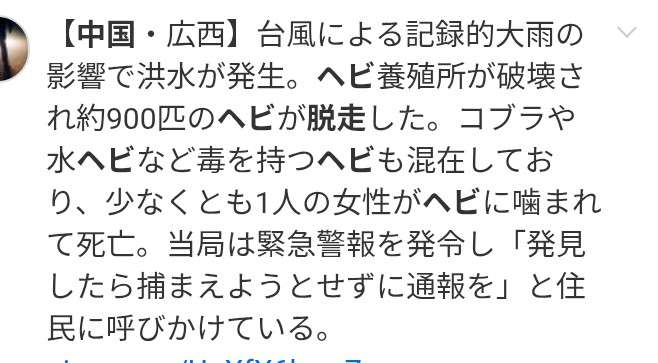 東京・中目黒でヘビ目撃多数 至近距離で鉢合わせ かまれる恐れも