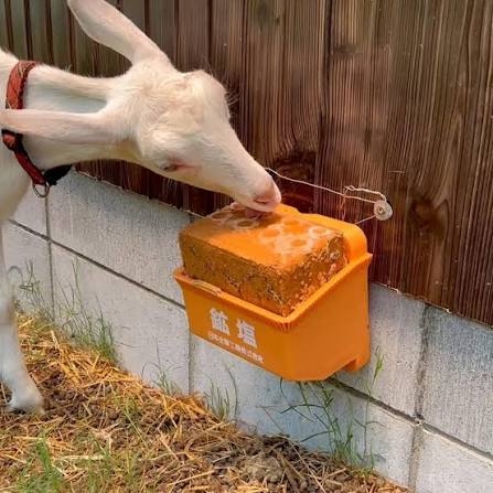 塩タブレットなめていますか?