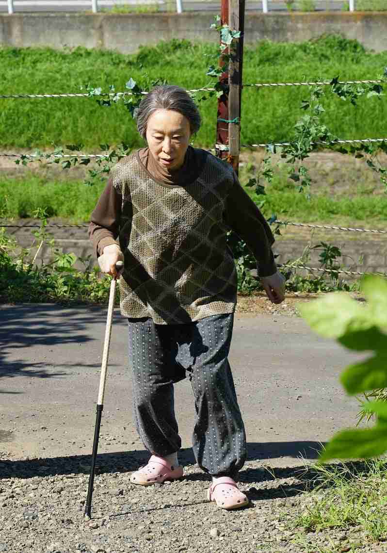 国民的女優なのに代表作が浮かばない…吉永小百合がそれでも愛され続けるワケ