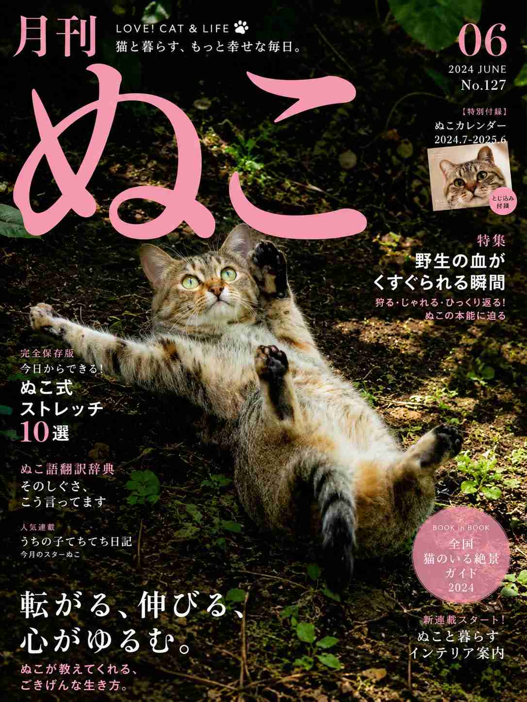 飼い猫に言いたいこと