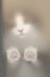 ほんのりと怖い話（心霊）