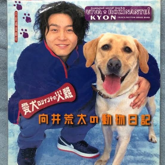 好きだった日テレ土曜9時ドラマ