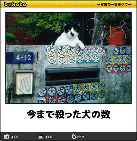 「bokete」アプリ、サービス終了へ　システム老朽化やサーバ費高騰で　18年で1億超のボケ
