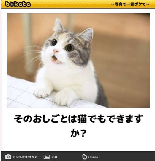 「bokete」アプリ、サービス終了へ　システム老朽化やサーバ費高騰で　18年で1億超のボケ