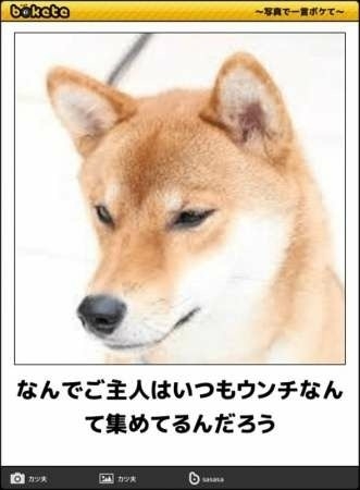 「bokete」アプリ、サービス終了へ　システム老朽化やサーバ費高騰で　18年で1億超のボケ
