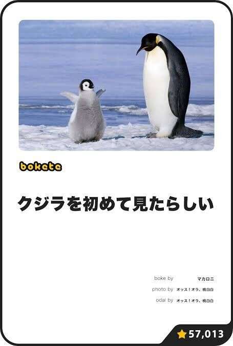 「bokete」アプリ、サービス終了へ　システム老朽化やサーバ費高騰で　18年で1億超のボケ