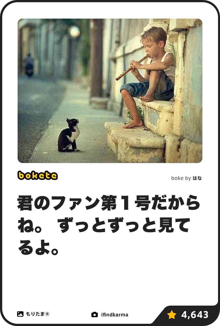 「bokete」アプリ、サービス終了へ　システム老朽化やサーバ費高騰で　18年で1億超のボケ
