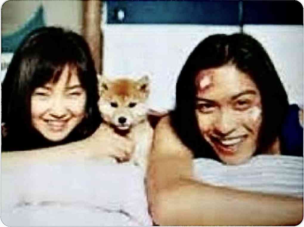 90年代に放送された好きなドラマ