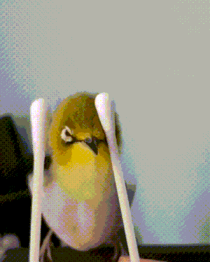 直近でテンション上がったこと